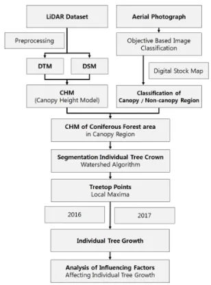 Figure 2. A Workflow for the segmentation of the Individual tree and analysis of influencing factors