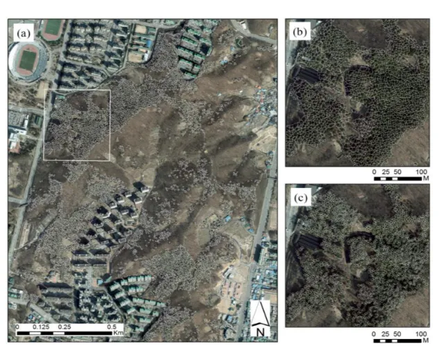 Figure 3. (a) : Result of segmentation using Watershed segment algorithm in the Mt. Bongseo