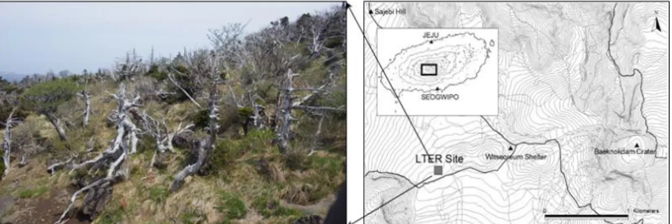Figure 1. Sampling site (LTER: long-term ecological research) in Yeongsil area of Mt. Halla.밝혀진 결과를 이용한 서식이 가능한 지역을 찾는 체계적 연구는 아직까지 부족하다(Kim etal., 2015).본 연구는 한라산 영실지역에서 고사한 구상나무 연륜을 이용하여 고사한 연도와 시계열적생육쇠퇴도를 밝혀 향후 한라산 내 다양한 지역에서 수행될 구상나무 고사원인 분석에 필요한기초자료를 
