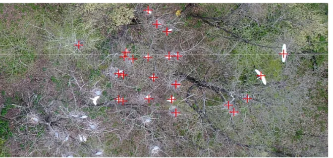 Table 2. The escape distance of the heron and egret measured by different models of drones Descriptive