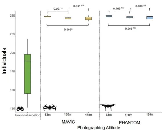 Figure 5. Box plot of expression levels of individuals of heron and egret by image taken with drone and ground observation