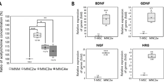 Figure 4. Changes in the secretion of functional MN-related factors after the differentiation of T-MSCs 