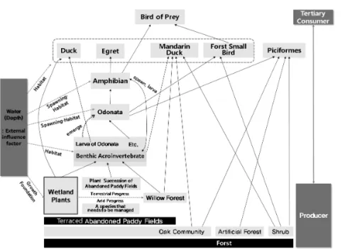 Figure 6. Ecosystem relationships of abandoned rice paddy field wetlands in mountain 식하는 종으로 저서성 대형무척추동물과 습지 식생의 뿌리 등을 먹이로 하였다