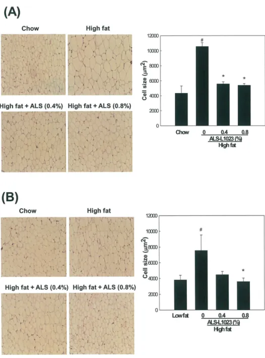 Fig 3. Light microscopy analysis of adipocyte size in adipose tissue. Adult male mice were fed a standard chow diet, a high fat diet, or the same high fat diet supplemented with 0.4 or 0.8% ALS for 8 weeks