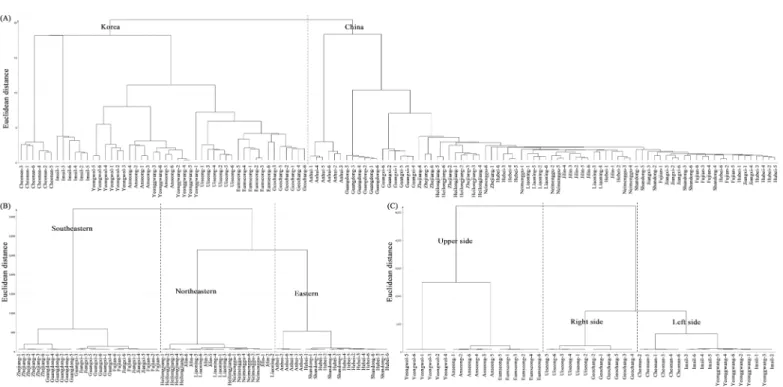 Fig 5. Hierarchical cluster analysis derived from the most suitable prediction models for the discrimination of soybean samples