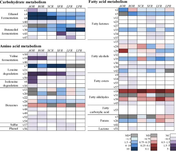 Figure 2. Metabolic pathway-based volatile compound expressions of fermented rice. The fold change 