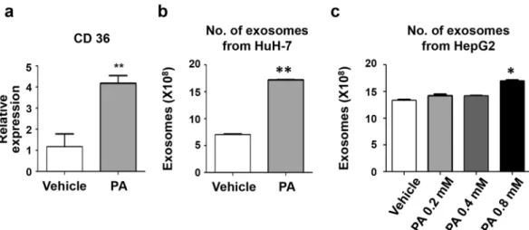 Figure 1.  Palmitic acid treatment increases the production of exosomes in Huh7 and HepG2 cells
