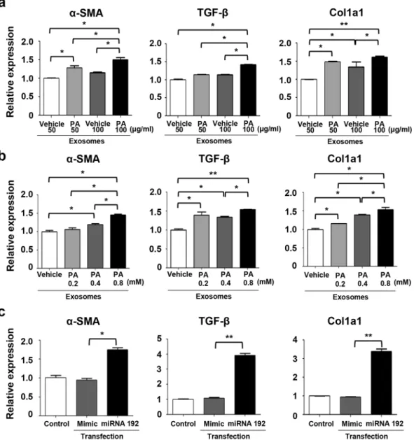 Figure 6.  Exosomes derived from PA-treated Huh7 cells enhance expression of fibrosis markers in LX2 cells