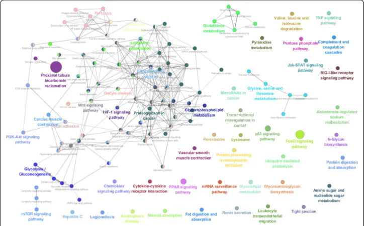 Fig. 4 KEGG biological pathways related to Top 1000 pairs of the MCC dataset