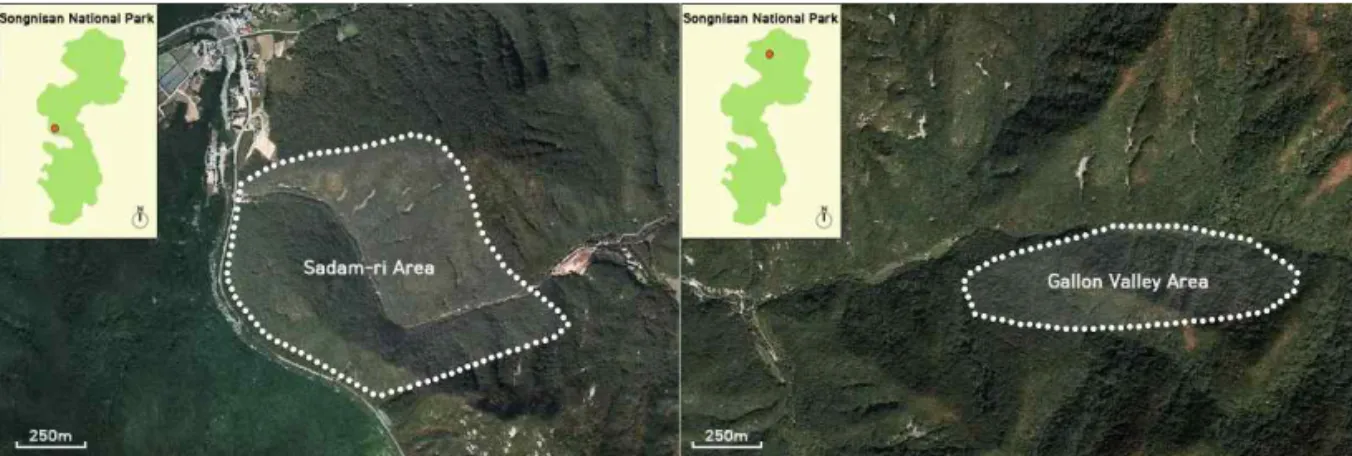 Figure 1. Survey areas of this study(Left: Sadam-ri area, Right: Gallon valley area)같이 속리산의 식생은 침엽수림과 활엽수림이혼생하고 있으며, 부분적으로는 침엽수인 소나무가 군락을 이루고 활엽수로는 참나무 종류가넓은 면적의 군락을 이루고 있어 온대림의 특징을 잘 보여주고 있다(Lee, 1998).속리산국립공원일대를 대상으로 1990년도이후에 이루어진 기존의 식물상 조사로는 Kimet al.