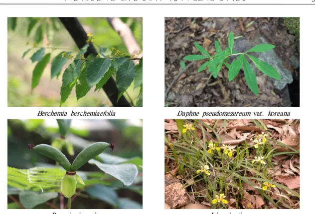 Figure 2. Rare plants in special protection zones at Songnisan National Park mnospermae)은 2과 2속 2종으로 총 2분류군 (0.7%), 피자식물(Angiospermae)은 75과 172속 222종 3아종 28변종 6품종으로 총 259분류군 (94.9%), 이중 단자엽식물(Monocotyledoneae)은 8과 26속 36종 5변종 1품종으로 총 42분류군 (16.2%), 쌍자엽식물(D