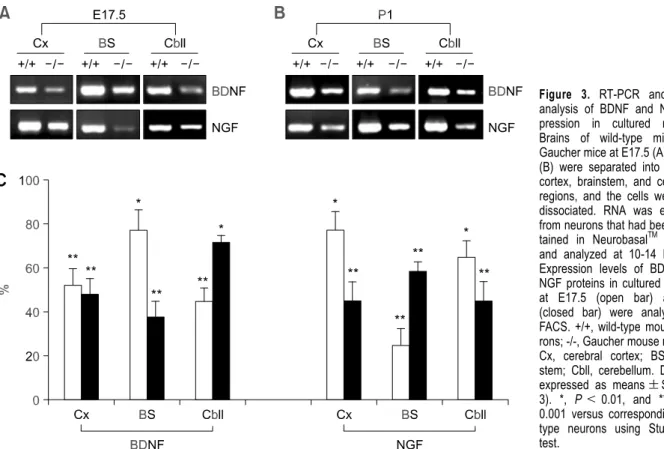 Figure 3. RT-PCR and FACS 