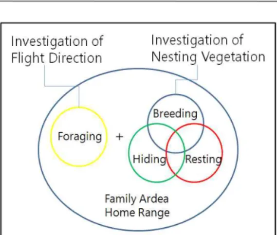 Figure 2. Family Ardeida Habitat Model and Methodology 추기 동안 이루어졌다. 조사지점은 조촌현대아 파트 106동 및 104동 옥상에서 진행하였다(Fig 1)