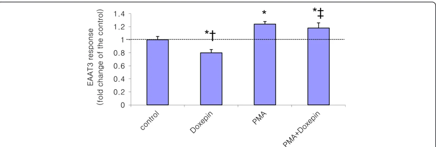 Fig. 4 Effects of protein kinase C activation and doxepin on EAAT3 activity. EAAT3 activity was observed in the presence or absence of 0.79 μM doxepin