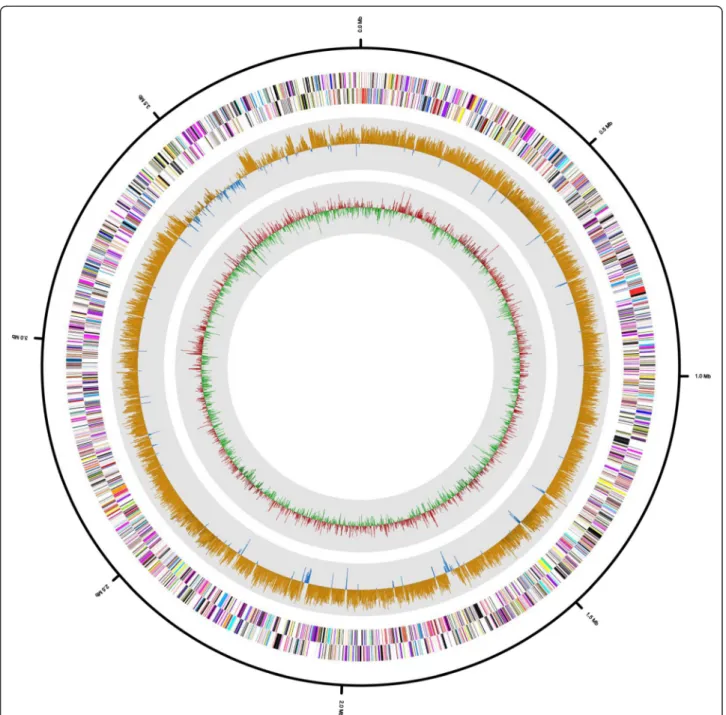 Fig. 3 Graphical map of the H. cibarius D43 T pseudochromosome. From outside to center: RNA genes (red, tRNA and blue, rRNA) and genes on the antisense and sense strands (colored according to COG categories)
