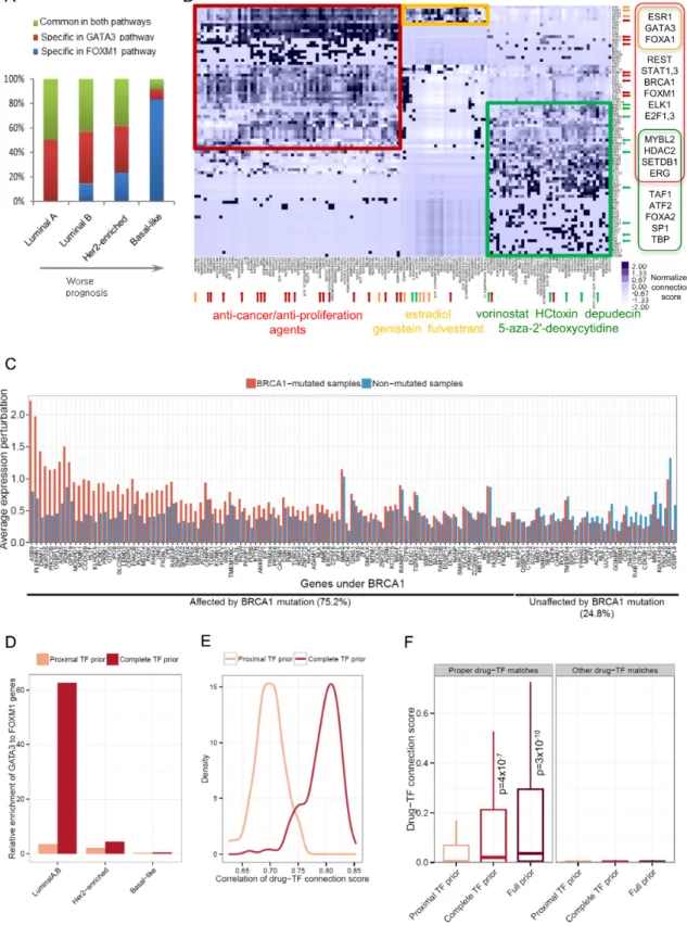 Figure 3. Tumor subclass and drug response analysis based on the global transcription network