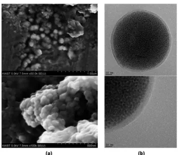 Fig. 8 (a) SEM images, (b) TEM images of QD-HSA/PEG nanocapsules.