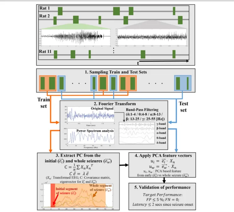 FIGURE 1 | A schematic flowchart shows an overview of the steps involved in developing PCA-based EEG features in each subband energy from ictal EEGs in training set and application for early seizure detection to ictal EEG segments in test set