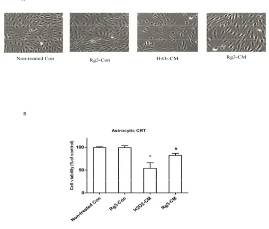 Figure  4.  Ginsenoside  Rg3  suppresses  cell  growth  arrest  by  conditioned  medium  from  senescent 