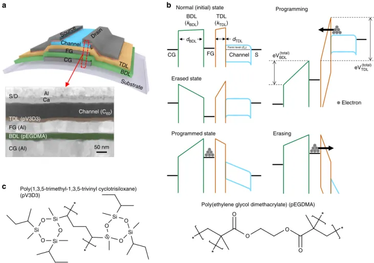 Fig. 1 Structure of thin- ﬁlm transistor-based organic ﬂash memories and their operation mechanism
