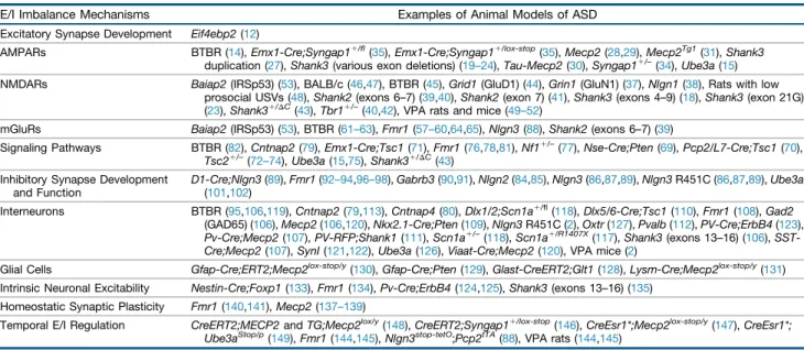 Table 1. Mechanisms Underlying E/I Imbalances in Animal Models of ASD