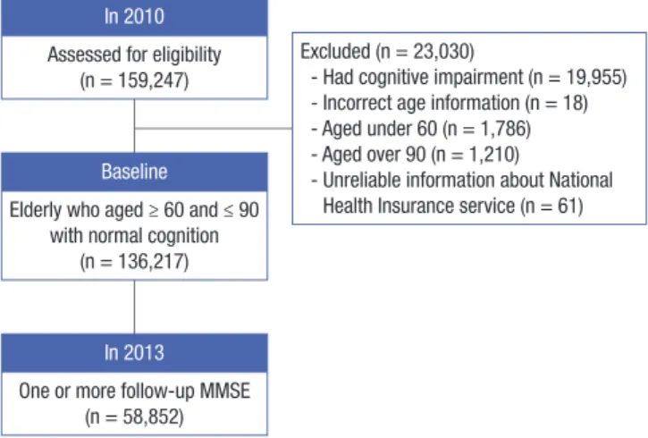 Fig. 1. Flow of selecting participants. MMSE = mini-mental status examination.
