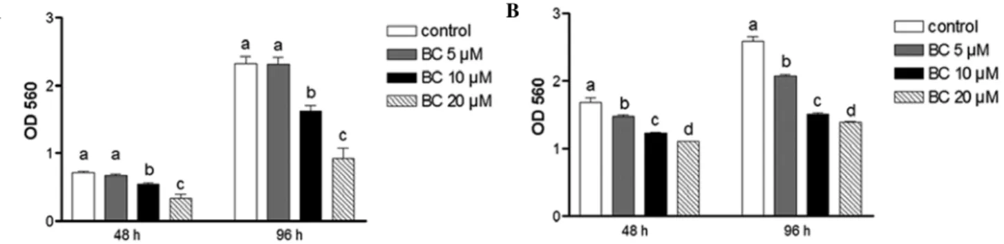 Figure 1. BC inhibits NB cell growth. Cell viability of (A) BE(2)C and (B) SY5Y cells was analyzed using MTT assay following treatment with various doses  of BC for 48 or 96 h