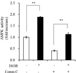 Figure 6. Effect of ISOR on AMPK activity in adipocytes. 3T3-L1 adipocytes were treated with 0 (control) 