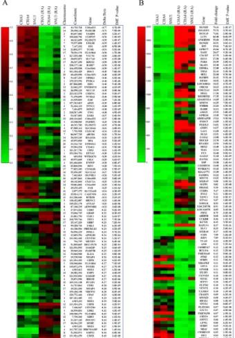 Fig. 1. Heatmaps of differential methylation and gene expression 