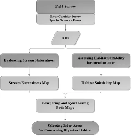 Figure  2.  Flow  chart.Mcdonald(1985)는  종의  선정에서  생태적으로 중요한 위치에 있는 대형 육식포유류를 주요 종으로 선정한 바 있다