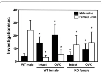 Figure 3 The olfactory response of female mice lacking  FucM. The  mean time spent sniffing male and female urine by wild-type males (n  = 15), wild-type females (intact, n = 15; OVX, n = 13) and FucM KO  fe-males (intact, n = 12; OVX, n = 10)