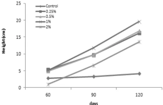 Figure  2.  Height  growth  of  Cornus  kousa  treated  with  swine  manure  for  90  days.