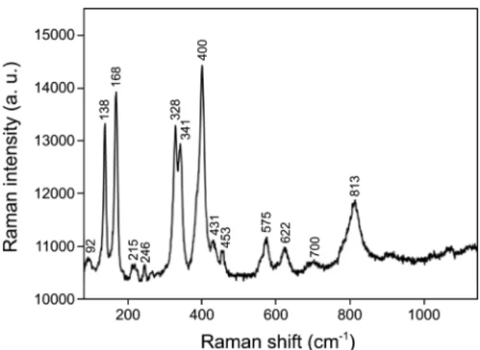 Figure 5. A typical Raman spectrum of NbO 2  NWs ensemble at room temperature excited with 633 nm light.