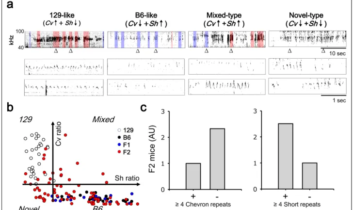 Figure 4 F2 USVs were diversified into B6-like, 129-like, and mixed phenotypes. (a) USV patterns of F2 mice