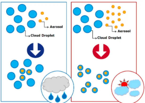 Fig. 1. Schematic diagrams of Secondary Indirect effect of aerosol (Kim et al., 2007)