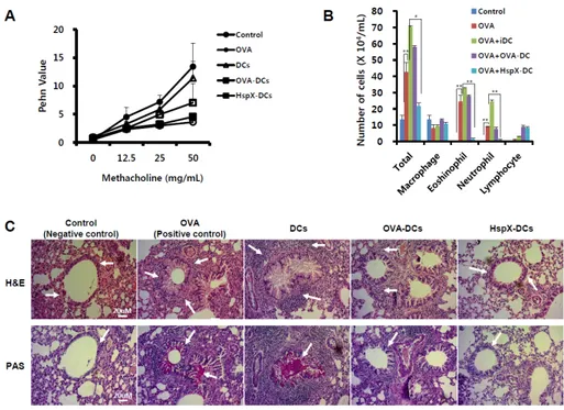 Fig. 1. Inhibition of airway responsiveness, lung inflammation, and inflammatory cell infiltration in mice treated by adoptive transfer of 