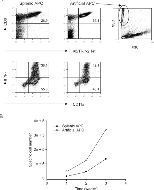 Figure 2. Enhanced amplification of melanoma antigen-specific CTLs using aAPCs. (A) Tetrameric analysis of in vitro 