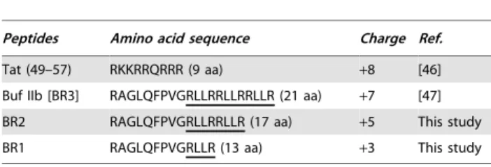 Table 1. Amino acid sequences of peptides used in this study.