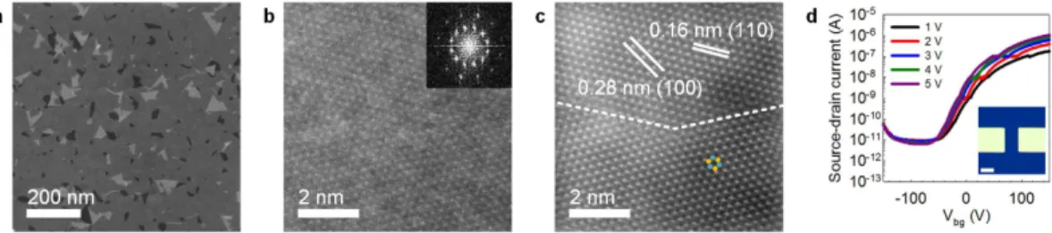 Figure 4.  Atomic structures and electrical performance. (a) Low-magnification STEM-HAADF image of 