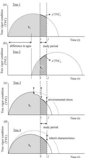 Figure  4.  Hypothetical  patterns  of  tree  vigor  condition  depending  on  growing  stages  (Song,  2012).