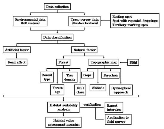 Figure  4.  Process  of  data  collection  and  analysis  for  habitat  use  of  Siberian  roe  deer  in  this  study