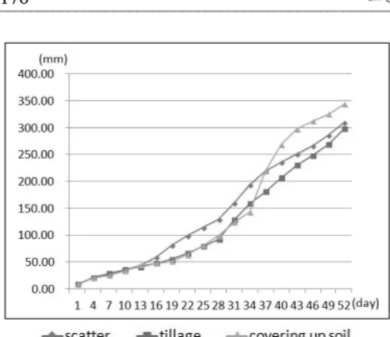Figure  8.  Growth  in  length  of  Miscanthus  sinensis.