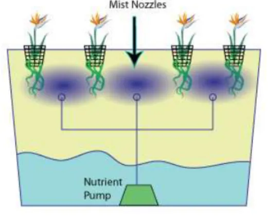 Figure 3. Aeroponic system. http://hydroponicsdictionary.com/hydroponics-systems/ 이 방법은 개별포트에 일일이 점적관수라인 을 설치해야함에 따라 비용과 설치시간이 많 이 들지만 개별포트에 일정한 양액을 균일하 게 공급할 수 있기 때문에 재배품질의 균일성 을 높일 수 있다