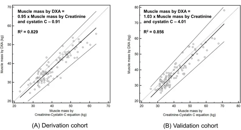 Fig 2. Scatter plots of muscle mass measured with DXA and the novel equation. Thick line indicates mean trend line and dotted line indicates 95% confidence interval
