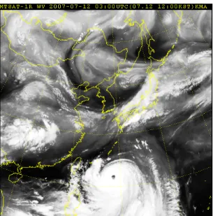 Fig. 5. The water vapor image at 03:00 UTC 12 Jul. 2007.