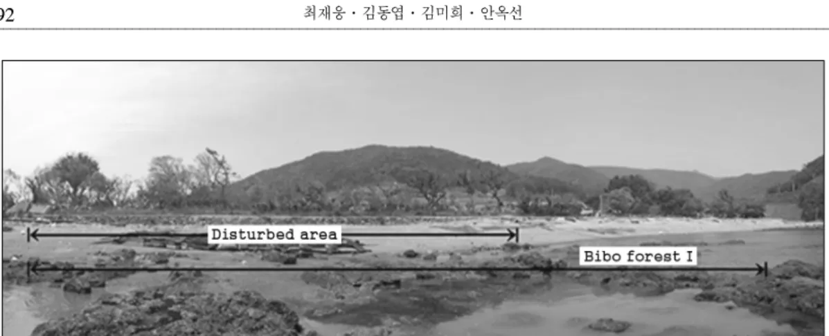 Figure  8.  Panoramic  view  of  Bibo  forestⅠand  disturbed  area  (2013.  4). 무너진 채 방치되어 있고,  경사지의 흙이 무너 지면서  유실된  부분에  대해  원형  복원  대신  13m  길이에  걸쳐  돌로  옹벽을  쌓아  놓았다 (Figure  7e)