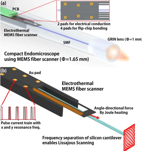 Fig. 1. (a) Schematic of a compact endomicroscopic catheter with a Lissajous scanned  electrothermal MEMS fiber scanner