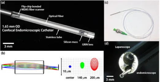 Fig. 4. (a) Optical image of a compact packaged endomicroscopic catheter. The inner diameter  of the flip-chip bonded MEMS fiber scanner is only 1.3 mm and the endomicroscopic catheter  was precisely assembled with a 1.65 mm diameter stainless tube and 1 m