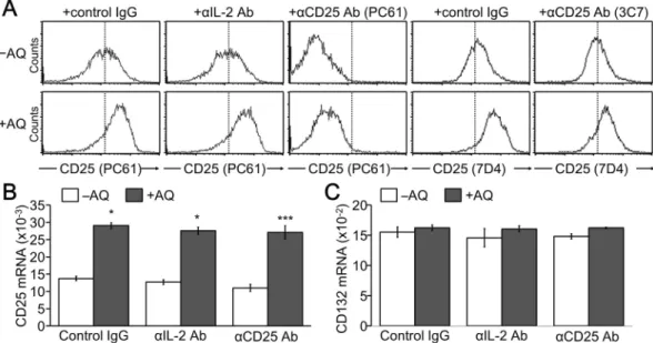 Figure 5.  IL-2/IL-2R-independent CD25 induction by AQ. CD4 +  T cells were induced to differentiate into  iTreg cells and incubated with AQ in the presence of control IgG, IL-2 neutralizing antibody (BD Pharmingen,  S4B6), or IL-2R blocking antibody (PC61