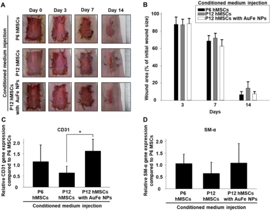 Figure  4.  (A)  Representative  images  of  full-thickness  skin  wounds  at  various  time  points  after 